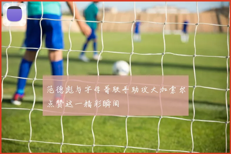 范德彪与字母哥联手助攻大加索尔点赞这一精彩瞬间