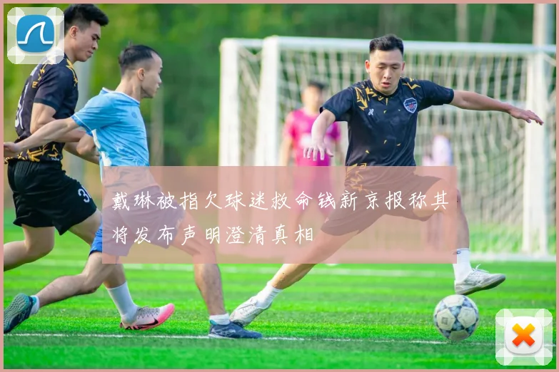 戴琳被指欠球迷救命钱新京报称其将发布声明澄清真相